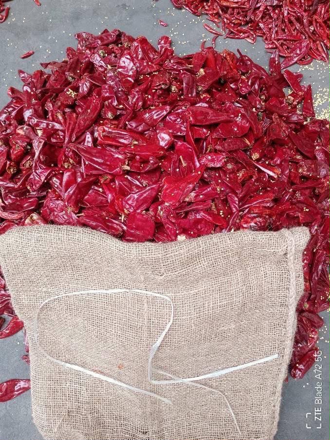 Red chilli packing in jute bag